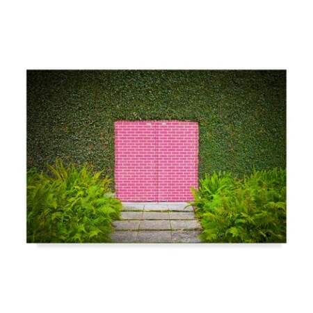 Trademark Fine Art David Jordan Williams 'Pink Brick Door' Canvas Art, 12x19 1X07337-C1219GG